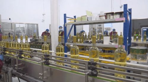 新年開門紅 訂單飽滿驅動生產提速，技術轉讓賦能企業轉型升級